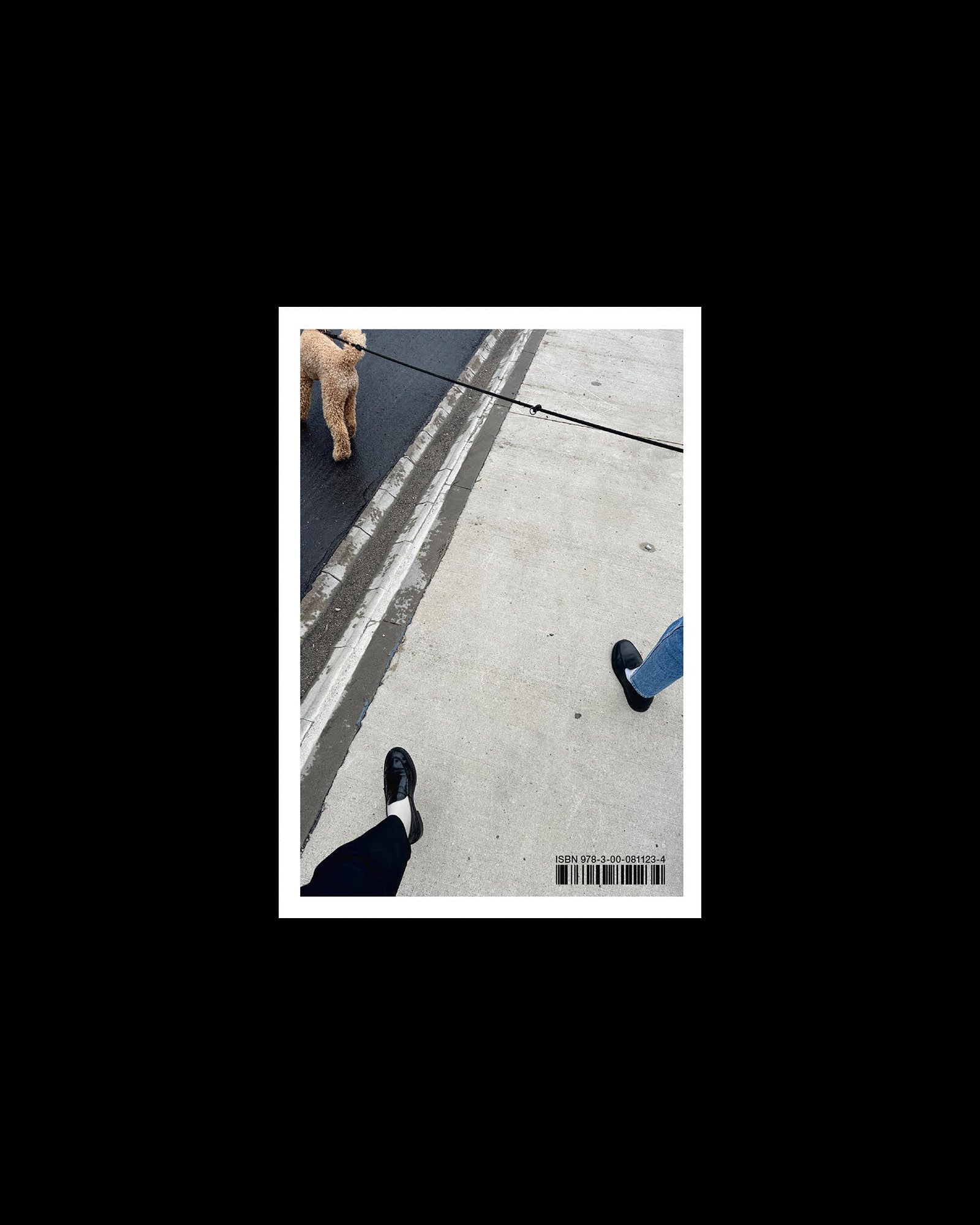 Dog Walks by Tina Roeder